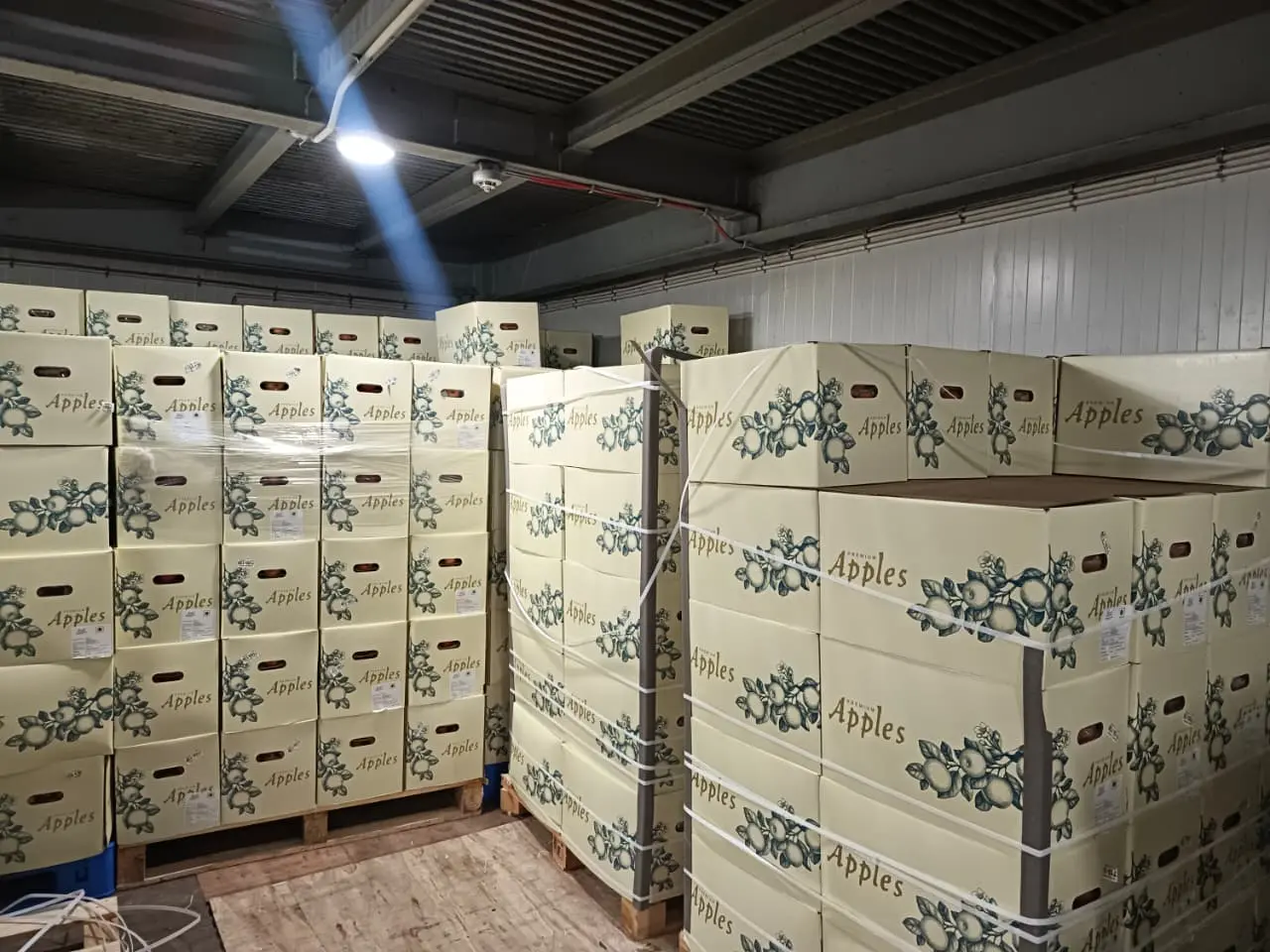 Temperature Controlled Chambers