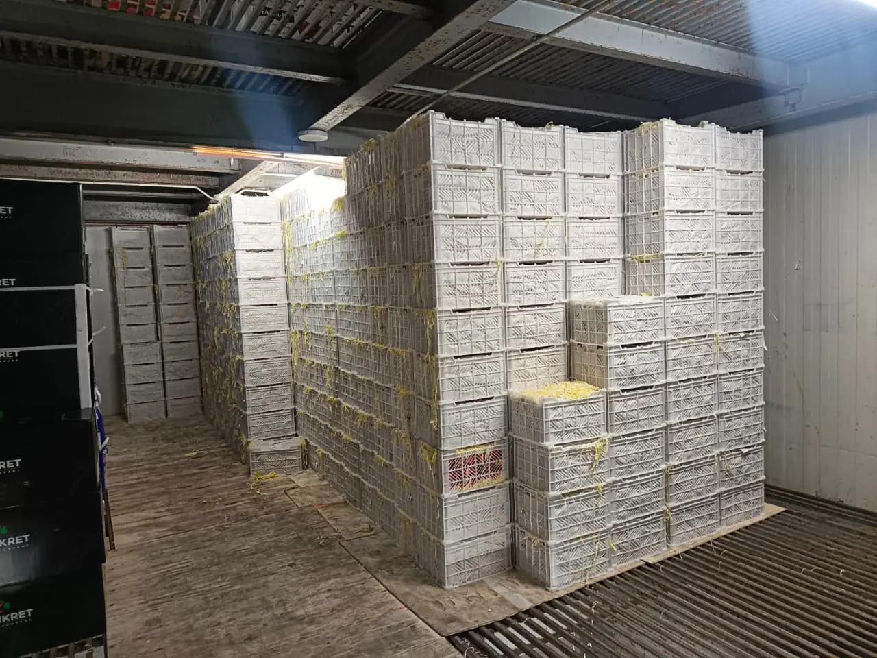 Refrigeration Equipment